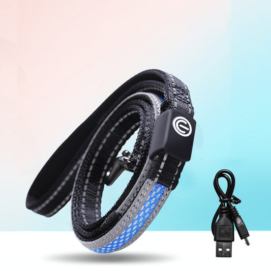 Amic GlowGuard LED Safety Collar