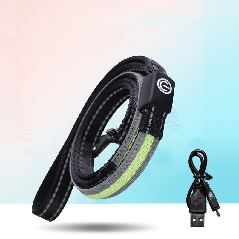 Amic GlowGuard LED Safety Collar