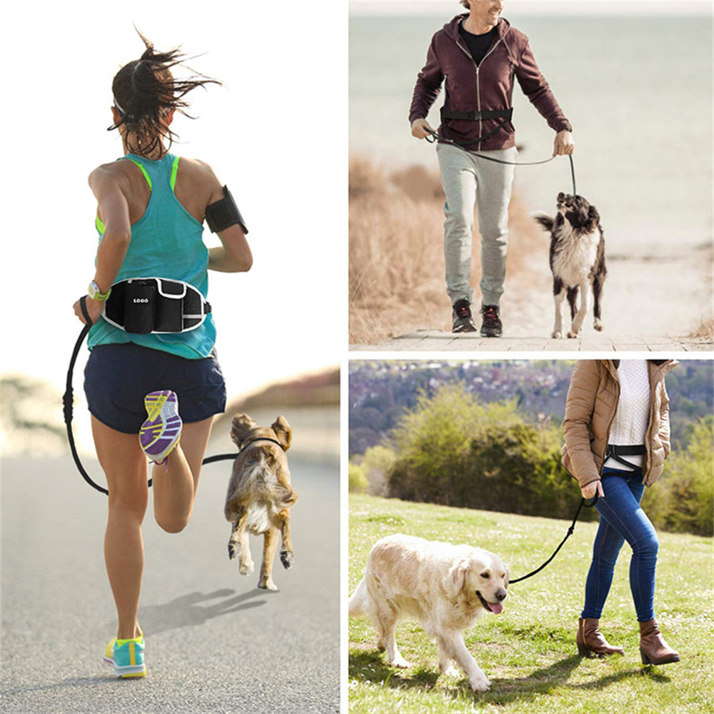 Amic Ultimate Hands-Free Dog Leash