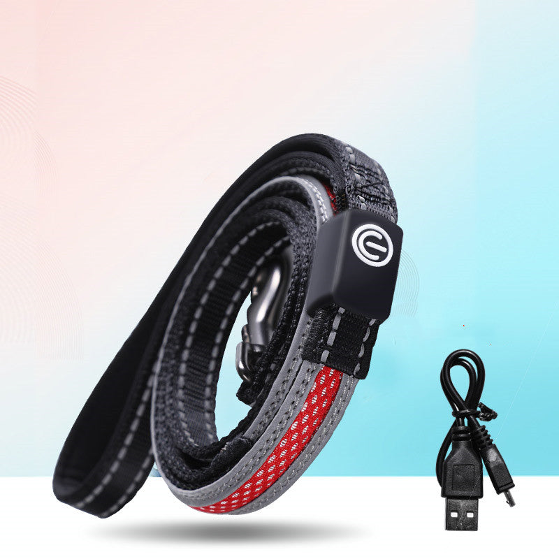 Amic GlowGuard LED Safety Collar